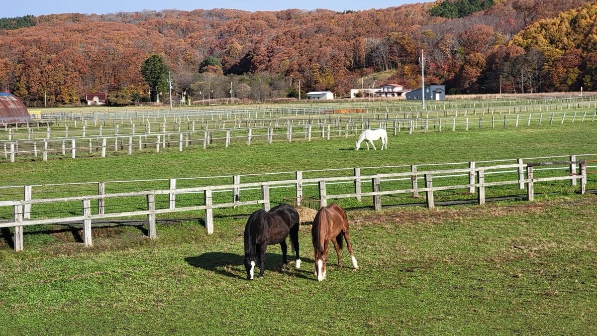 10145790c39bd31cd807ec06384d96f6-1763313354.jpg 10145790c39bd31cd807ec06384d96f6-1763313354.jpg